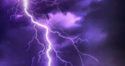 Orages : Les parcs et jardins fermés jusqu'à nouvel ordre à Nice