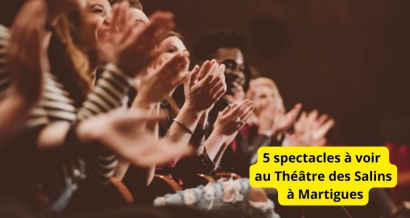 Saison 24-25 : 5 spectacles à ne pas manquer au Théâtre des Salins à Martigues