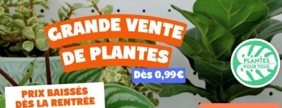 Plantes Pour Tous revient à Marseille du 20 au 22 septembre !