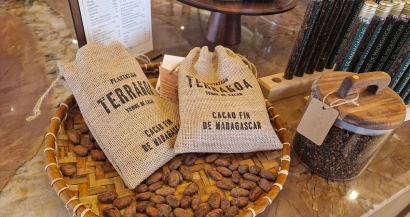 Terrakoa : Une délicieuse fabrique de chocolat s'installe à Marseille