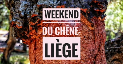 Un beau programme pour tous avec le Week-end du chêne liège 