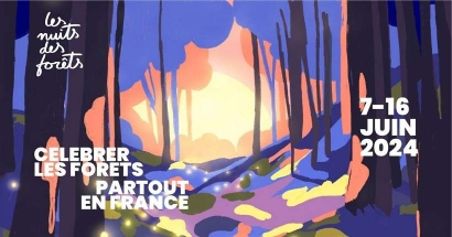 Les Nuits des Forêts 2024 en Provence