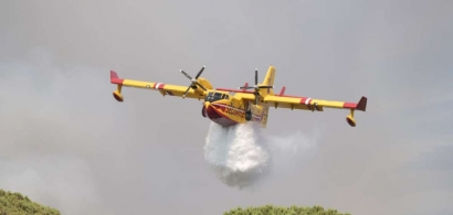 Bandol: L'incendie de forêt dans le secteur des Engraviers est désormais fixé