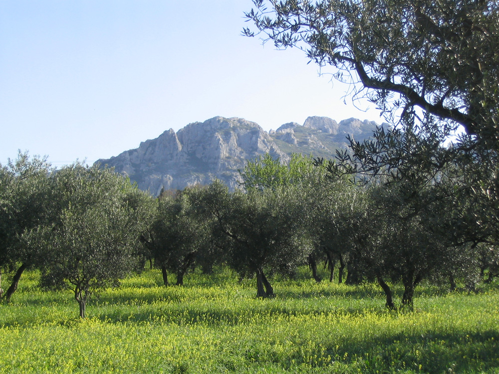 Le Parc Naturel Régional Des Alpilles Est Créé ! - Alpilles - Frequence ...